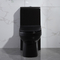 Elongated Matt Black Dual Flush One Piece Toilet 1.6 Gpf Cupc Ceramic Round
