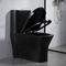 Bidet Skirted Toilet American Standard Elongated Black Comfort Height