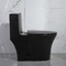 28&quot; Dual Flush One Piece Toilet Black 12 Inch Rough In Closing Seat Soft