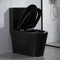 Matt Black One-Piece Compact Elongated Dual-Flush Toilet With Skirted Trapway