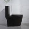 Matt Black One-Piece Compact Elongated Dual-Flush Toilet With Skirted Trapway