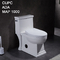 Siphon One Piece Dual Flush Comfort Height Toilet Round Bowl 112lbs