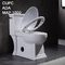 Siphon One Piece Dual Flush Comfort Height Toilet Round Bowl 112lbs