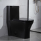 Ceramic Dual Flush Elongated One Piece Toilet Siphonic 2-1/8&quot; Trap Double