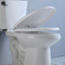 Elongated Two Piece Wall Mounted Toilet Comfort Height 2 Piece Water Closet