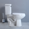Siphon Jet 2 Piece Wall Hung Toilet Tall 10 Inch Two Piece Commode Elongated