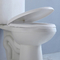 CUPC White Black Two Piece Toilet 1.28 GPF Water Closet Tank
