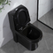 Black One Piece Elongated Toilets 1.6 Gpf Siphon Jet Toilet Flushing Systems