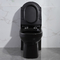 Black One Piece Elongated Toilets 1.6 Gpf Siphon Jet Toilet Flushing Systems