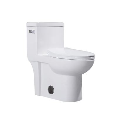 1.28GPF/4.8LPF One Piece Elongated Dual Flush Toilet Comfort Height 1 Piece Wc