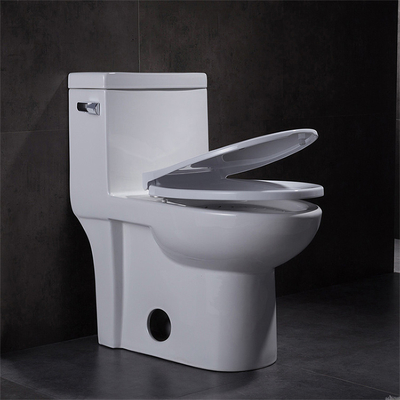 1.28GPF/4.8LPF One Piece Elongated Dual Flush Toilet Comfort Height 1 Piece Wc