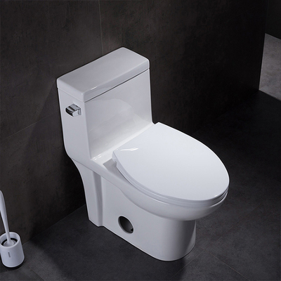 1.28GPF/4.8LPF One Piece Elongated Dual Flush Toilet Comfort Height 1 Piece Wc